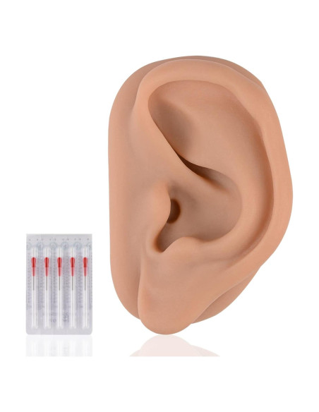 Modelo de Oído de Silicona Simulador Acupuntura SimCoach