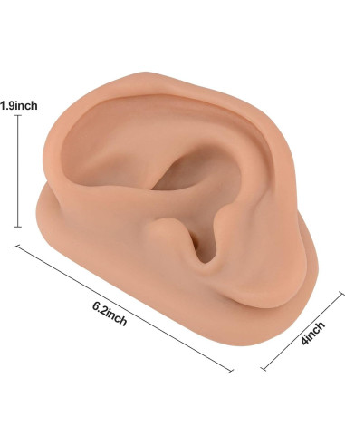 Modelo de Oído de Silicona Simulador Acupuntura SimCoach