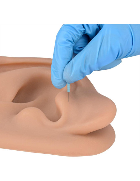 Modelo de Oído de Silicona Simulador Acupuntura SimCoach
