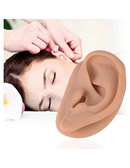 Modelo de Oído de Silicona Simulador Acupuntura SimCoach