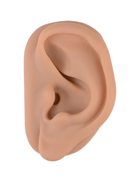 Modelo de Oído de Silicona Simulador Acupuntura SimCoach