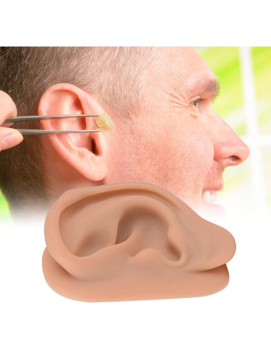 Modelo de Oído de Silicona Simulador Acupuntura SimCoach