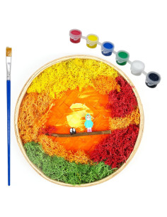 Kit de Jardín Zen Woohome DIY con Pintura de Musgo y Marco