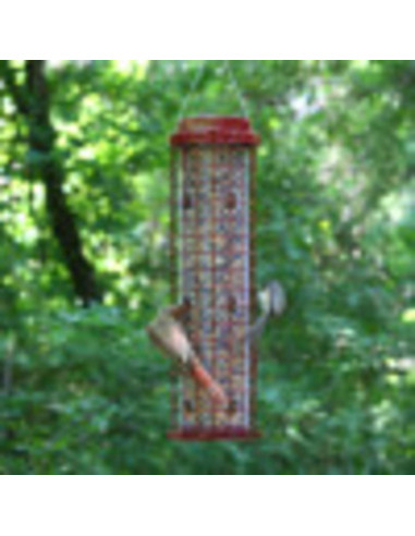 Alimentador Perky-Pet 102 Resistente a Ardillas 1,81 kg