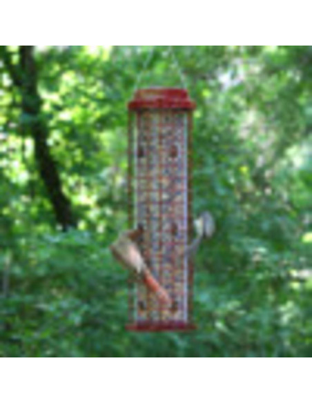 Alimentador Perky-Pet 102 Resistente a Ardillas 1,81 kg