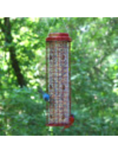 Alimentador Perky-Pet 102 Resistente a Ardillas 1,81 kg