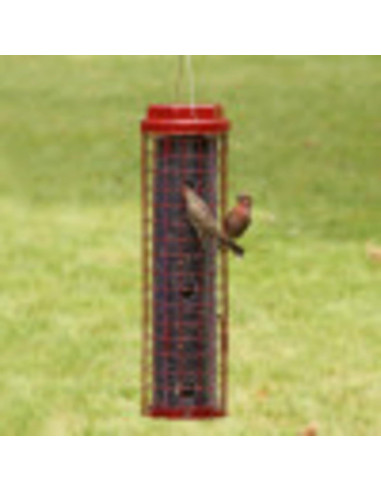 Alimentador Perky-Pet 102 Resistente a Ardillas 1,81 kg