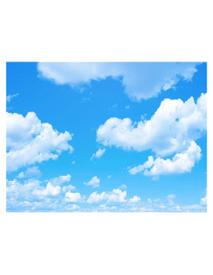 Vinilo Fondo de Foto 2.44x2.13m Cielo Azul Nubes Blancas