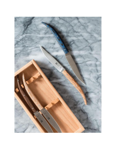 Juego de cuchillos para carne ZWILLING Toro 4 piezas madera 2