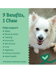 Masticables Multifuncionales para Perros Wholesome Pride 9-en-1 - 178g 2