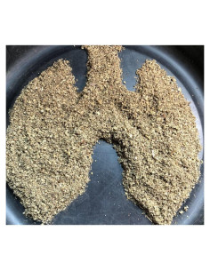 Té de Hoja de Mullein Undelio 454g - Soporte Respiratorio Orgánico