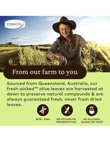 Extracto de Hoja de Olivo Comvita 500 ml - Suplemento Antioxidante