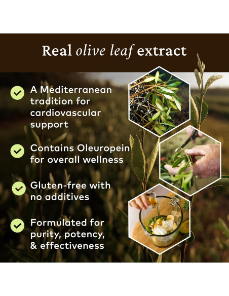 Extracto de Hoja de Olivo Comvita 500 ml - Suplemento Antioxidante