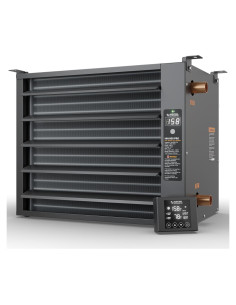 Calentador de Agua Colgante Alecoil HHA100-B con Control Remoto