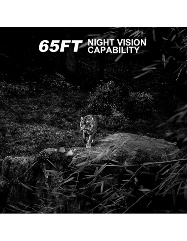 Cámara de Juego CAMVILD Mini 24MP 1080P IP66 Nocturna