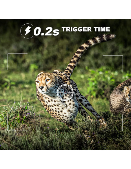 Cámara de Juego CAMVILD Mini 24MP 1080P IP66 Nocturna