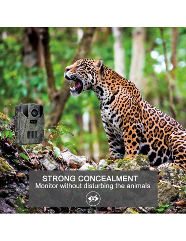 Cámara de Juego CAMVILD Mini 24MP 1080P IP66 Nocturna