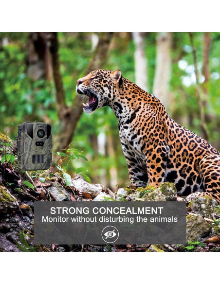 Cámara de Juego CAMVILD Mini 24MP 1080P IP66 Nocturna