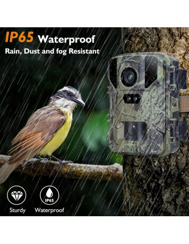 Cámara de Juego CAMVILD Mini 24MP 1080P IP66 Nocturna