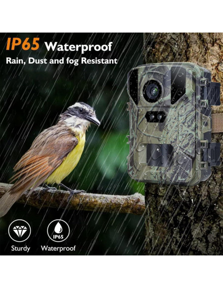 Cámara de Juego CAMVILD Mini 24MP 1080P IP66 Nocturna