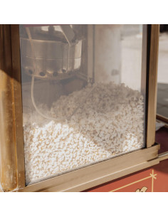 Panel Protector de PVC para Máquina de Palomitas SHOWERORO 2