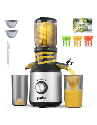 Exprimidor Masticador Ganiza GJ10 Plata 1.2kg 350W Fácil Limpieza