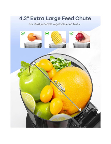 Exprimidor Masticador Ganiza GJ10 Plata 1.2kg 350W Fácil Limpieza