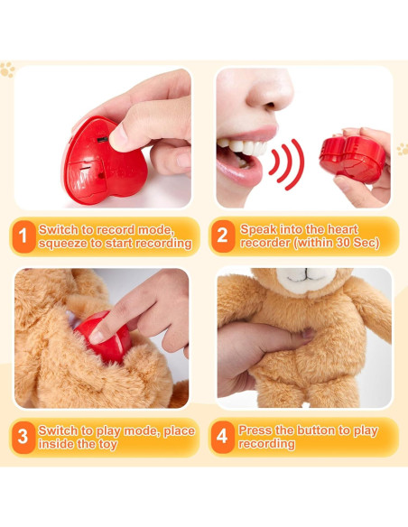 Oso de Peluche Grabador de Voz CozyWorld 30 cm Marrón