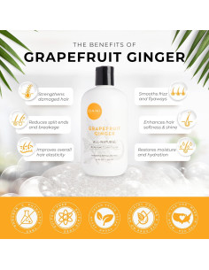 Acondicionador DANI Naturals Pomelo Jengibre 378 g - Desintoxicante 2