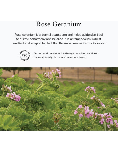 Suero Facial Antiarrugas Evanhealy 13.6g - Algas Marinas