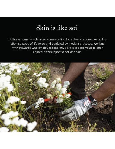 Suero Facial Antiarrugas Evanhealy 13.6g - Algas Marinas