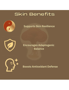 Crema Hidratante Reishi King & Queen 56.7 g - Adaptógeno 2