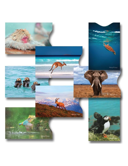 8 Fundas Bloqueadoras RFID PokCat - Diseños Animales Coloridos