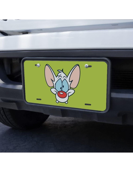 Placa de Licencia de Metal Pinky y el Cerebro - 15.2x30.5cm