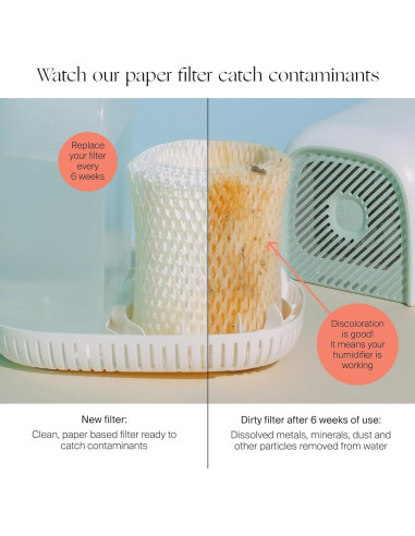 Filtros de Reemplazo para Humidificador Canopy - Paquete de 3