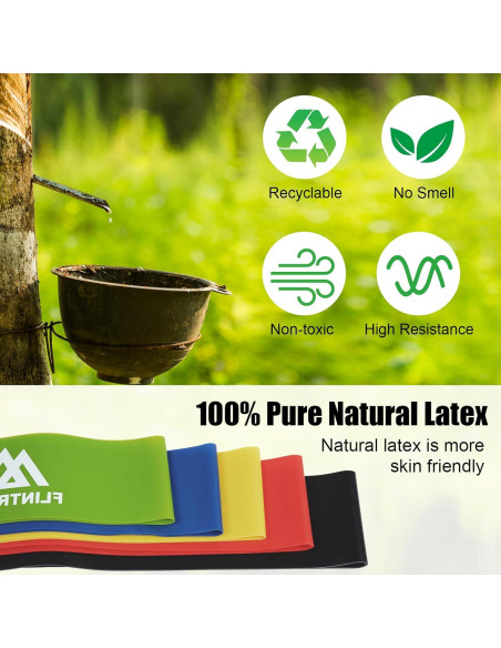 Conjunto de Bandas de Resistencia Flintonic 5 Niveles para Fitness