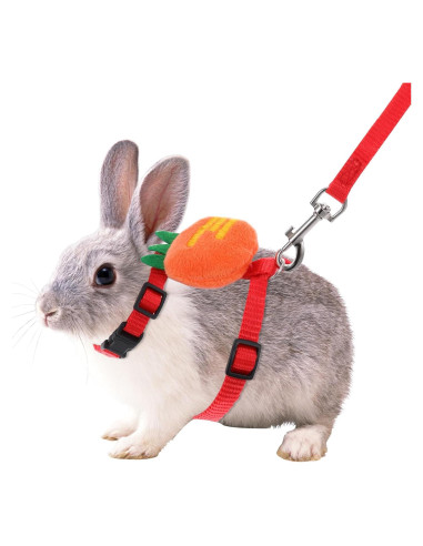 Set Arnés y Correa Ajustable Tweruna para Conejos Tamaño M
