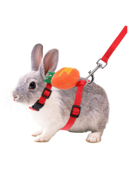 Set Arnés y Correa Ajustable Tweruna para Conejos Tamaño M
