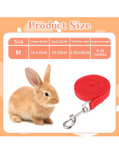 Set Arnés y Correa Ajustable Tweruna para Conejos Tamaño M 2
