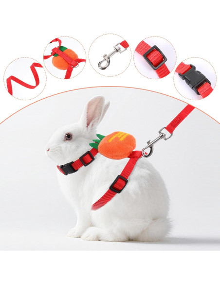 Set Arnés y Correa Ajustable Tweruna para Conejos Tamaño M