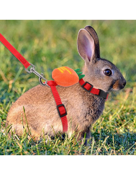 Set Arnés y Correa Ajustable Tweruna para Conejos Tamaño M