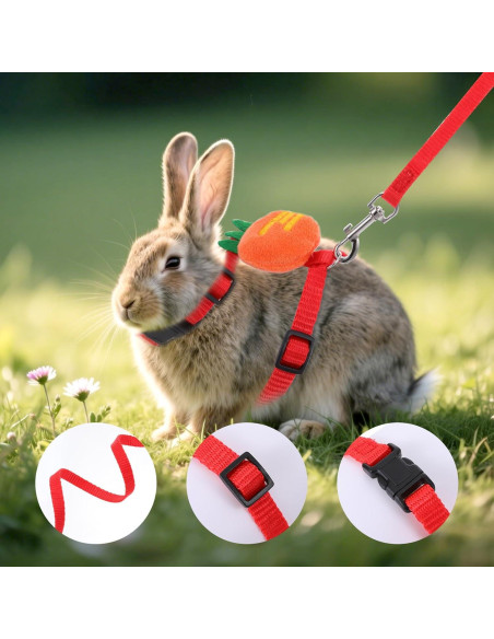 Set Arnés y Correa Ajustable Tweruna para Conejos Tamaño M