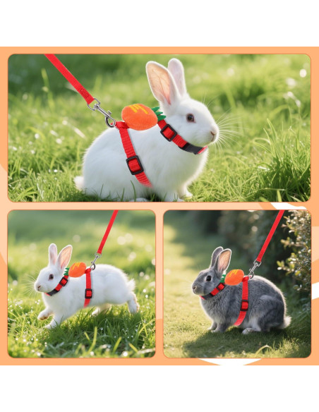Set Arnés y Correa Ajustable Tweruna para Conejos Tamaño M