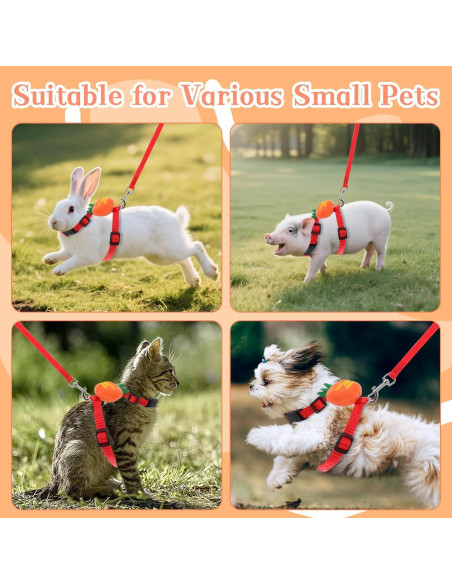 Set Arnés y Correa Ajustable Tweruna para Conejos Tamaño M