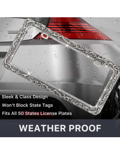 Marco de Placa de Matrícula Valor 2 Agujeros Zinc Plata Retro 2