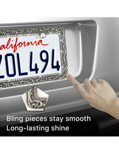 Marco de Placa de Matrícula Valor 2 Agujeros Zinc Plata Retro