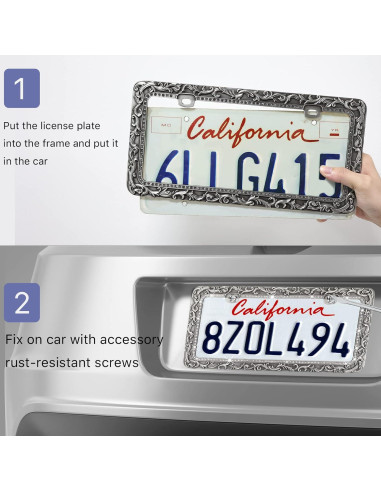 Marco de Placa de Matrícula Valor 2 Agujeros Zinc Plata Retro