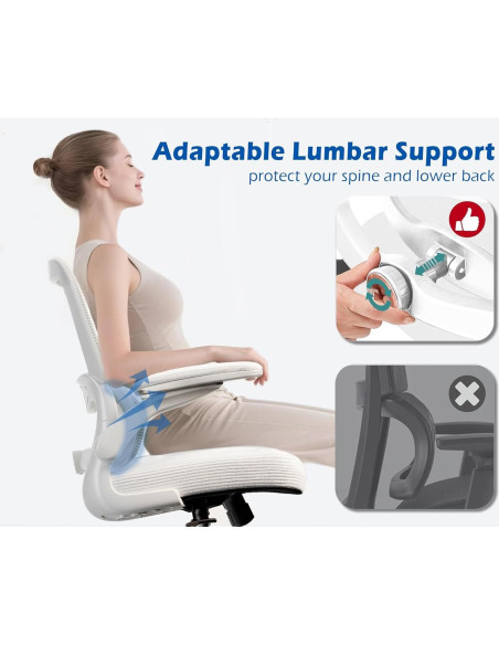 Silla de Oficina Ergonómica TRALT YX001-4 con Soporte Lumbar