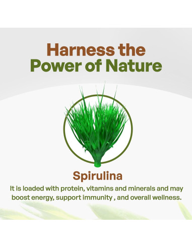 Polvo de Espirulina Orgánica Go Nutra 0.45 kg - Superalimento Vegano