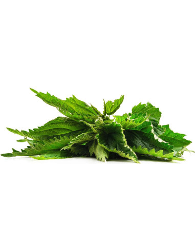 Té de Hoja de Ortiga Orgánico Zokiva - 90 Bolsitas Sin Cafeína